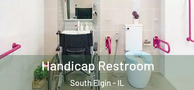 Handicap Restroom South Elgin - IL